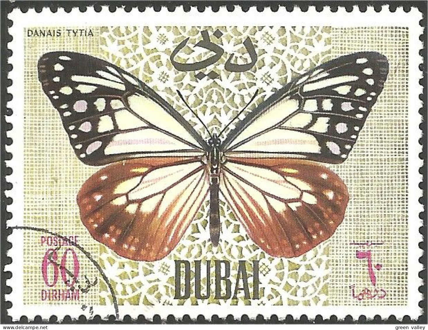 IN-9 Dubai Papillon Butterfly Butterflies Farfalla Mariposa Schmetterling Vlinder - Vlinders