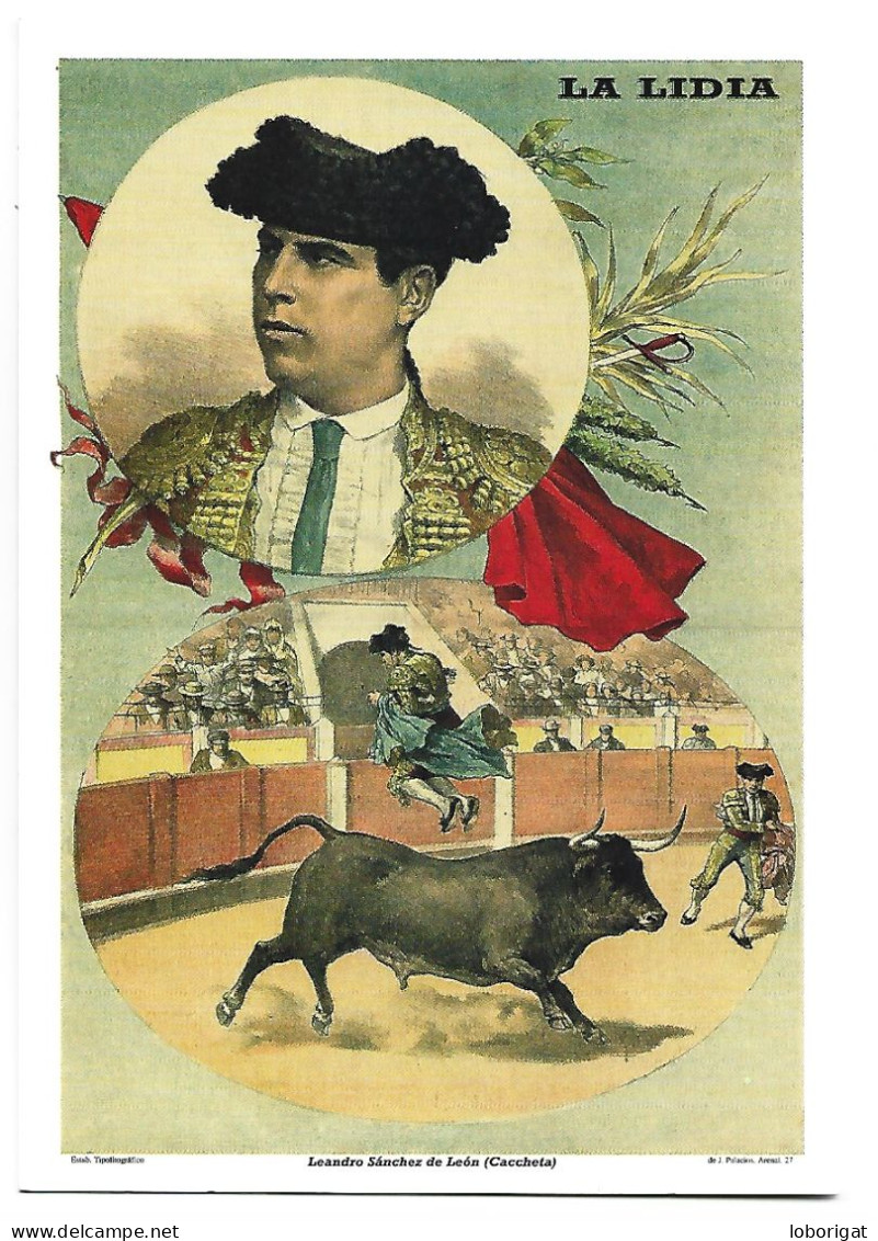 " LA LIDIA ".- ( LEANDRO SANCHEZ DE LEON - CACCHETA ) - Bull