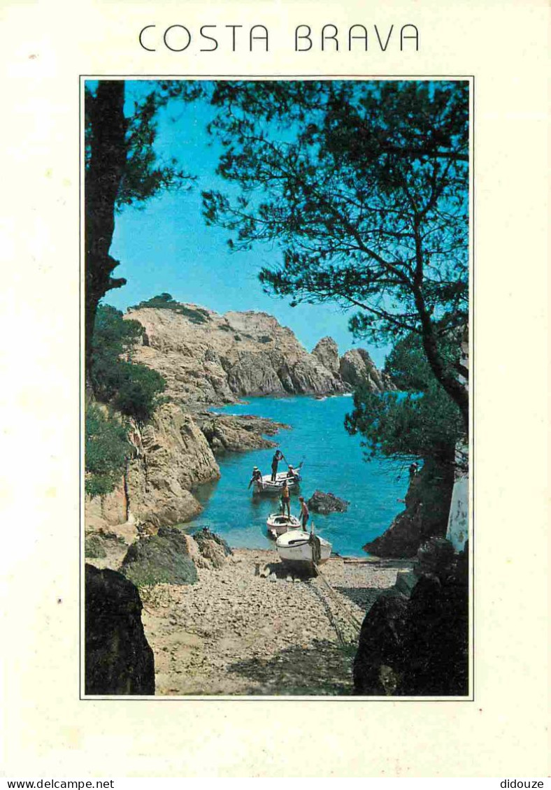 Espagne - Espana - Cataluna - Costa Brava - Aigua Gelida - CPM - Voir Scans Recto-Verso - Gerona