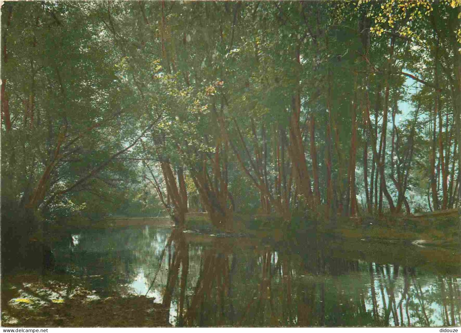 58 - Tannay - Les Bords De L'Yonne Au Moulin Les Trois Quartes - CPM - Voir Scans Recto-Verso - Tannay