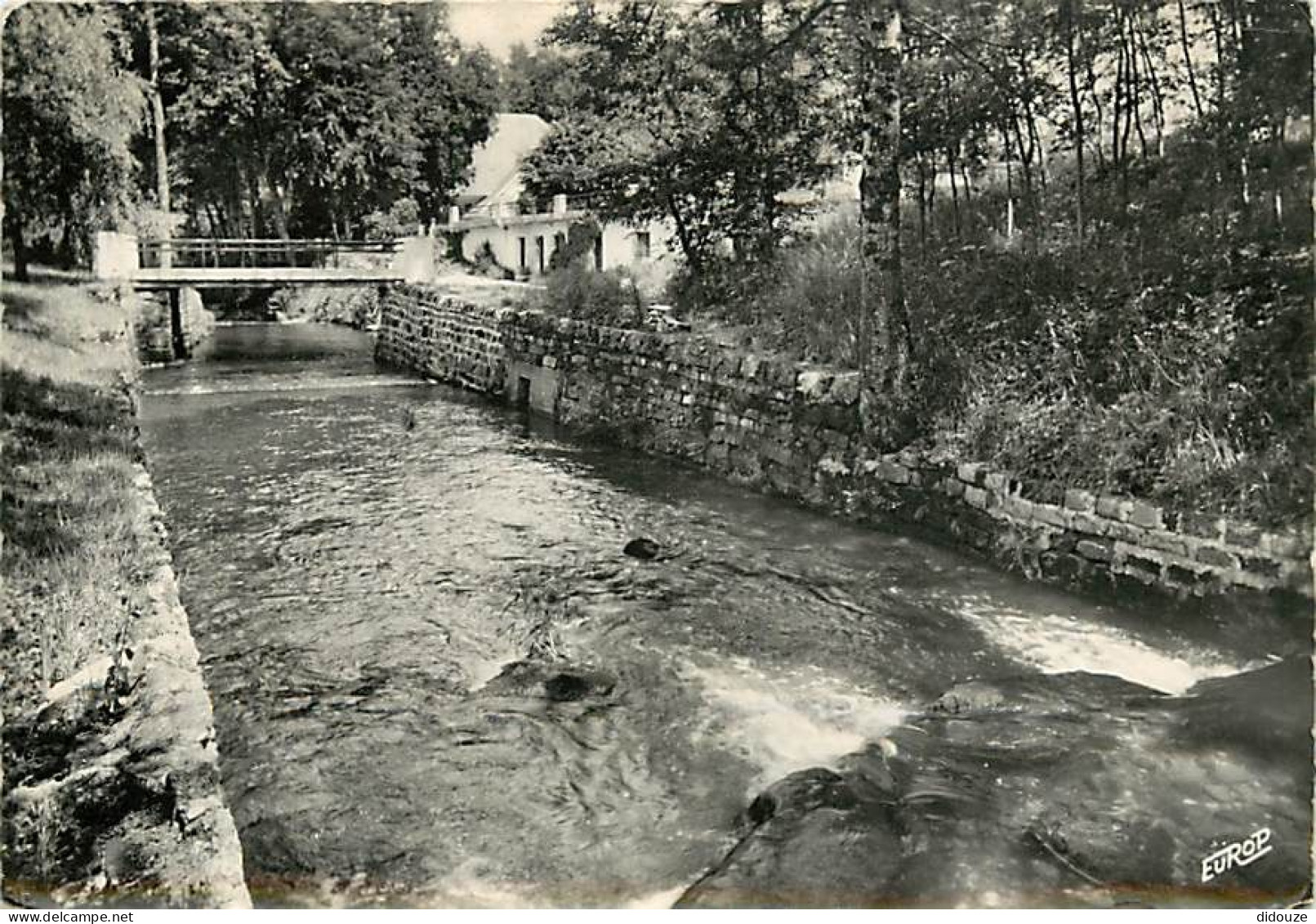 88 - Bains Les Bains - Le Bagnerot Dans Le Parc - CPSM Grand Format - CPM - Voir Scans Recto-Verso - Bains Les Bains