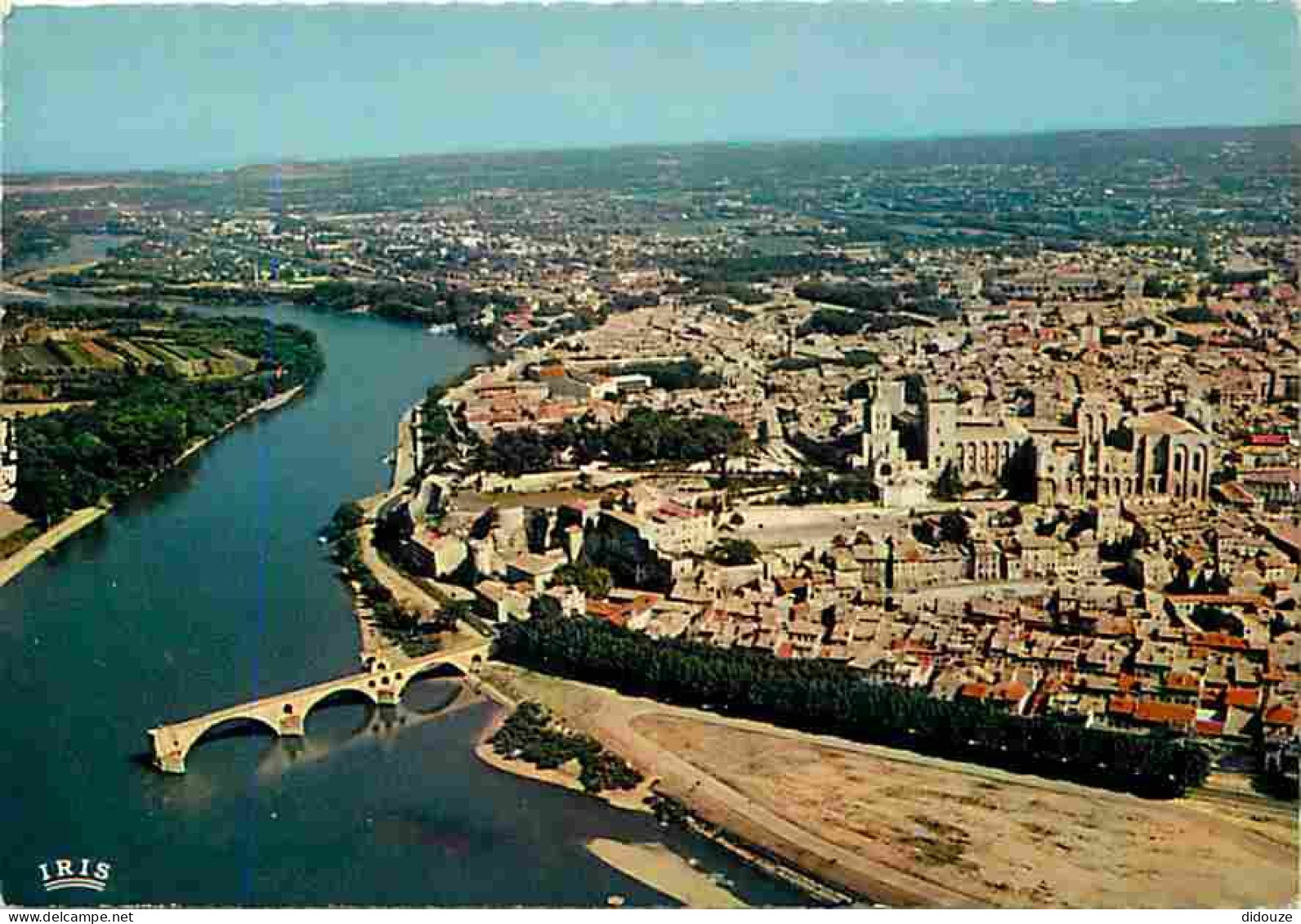 84 - Avignon - Vue Aérienne De La Vallée Du Rhône Du Palais Des Papes Et Du Pont St-Bénézet  - CPM - Voir Scans Recto-Ve - Avignon