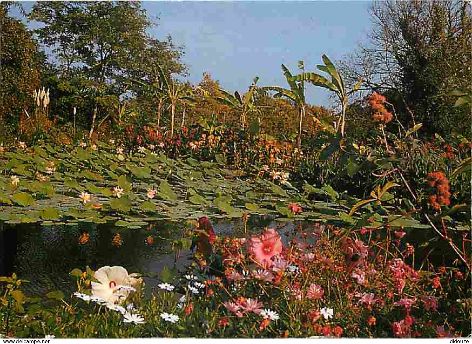 85 - Saint Cyr En Talmondais - Floralies De La Court D'Aron - Floraison Lotus Et Hibiscus - Fleurs - CPM - Voir Scans Re - Autres & Non Classés