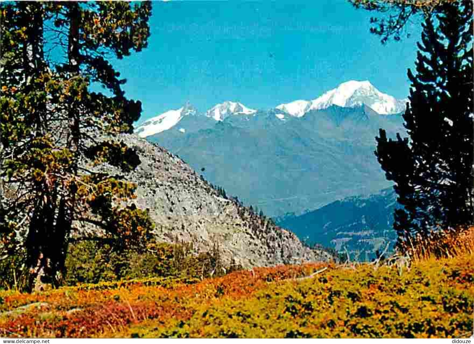 73 - Les Arcs - Echappée Sur Le Mont Blanc - CPM - Voir Scans Recto-Verso - Andere & Zonder Classificatie