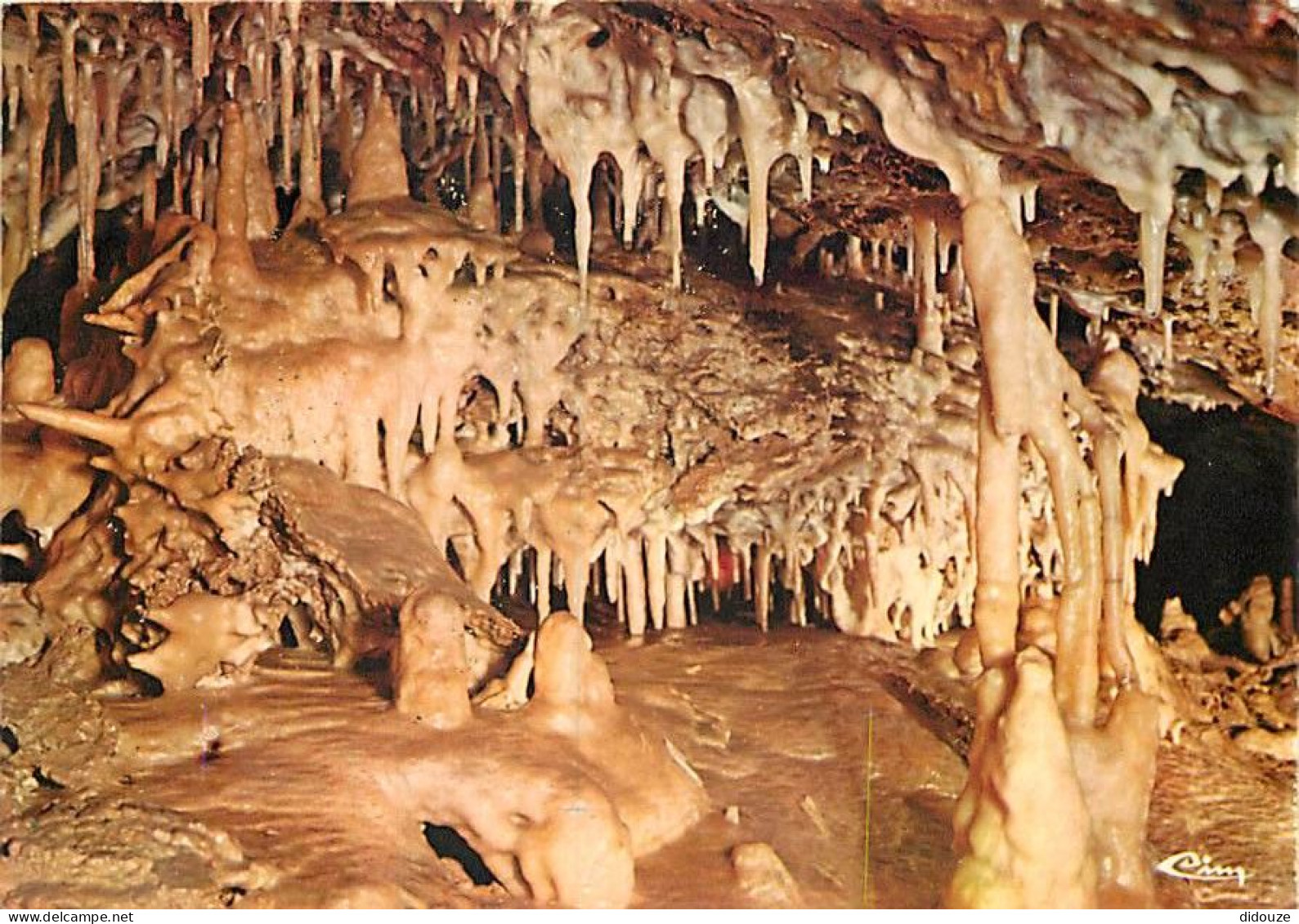 71 - Azé - Grottes Préhistoriques - Concrétions Excentriques - CPM - Voir Scans Recto-Verso - Sonstige & Ohne Zuordnung