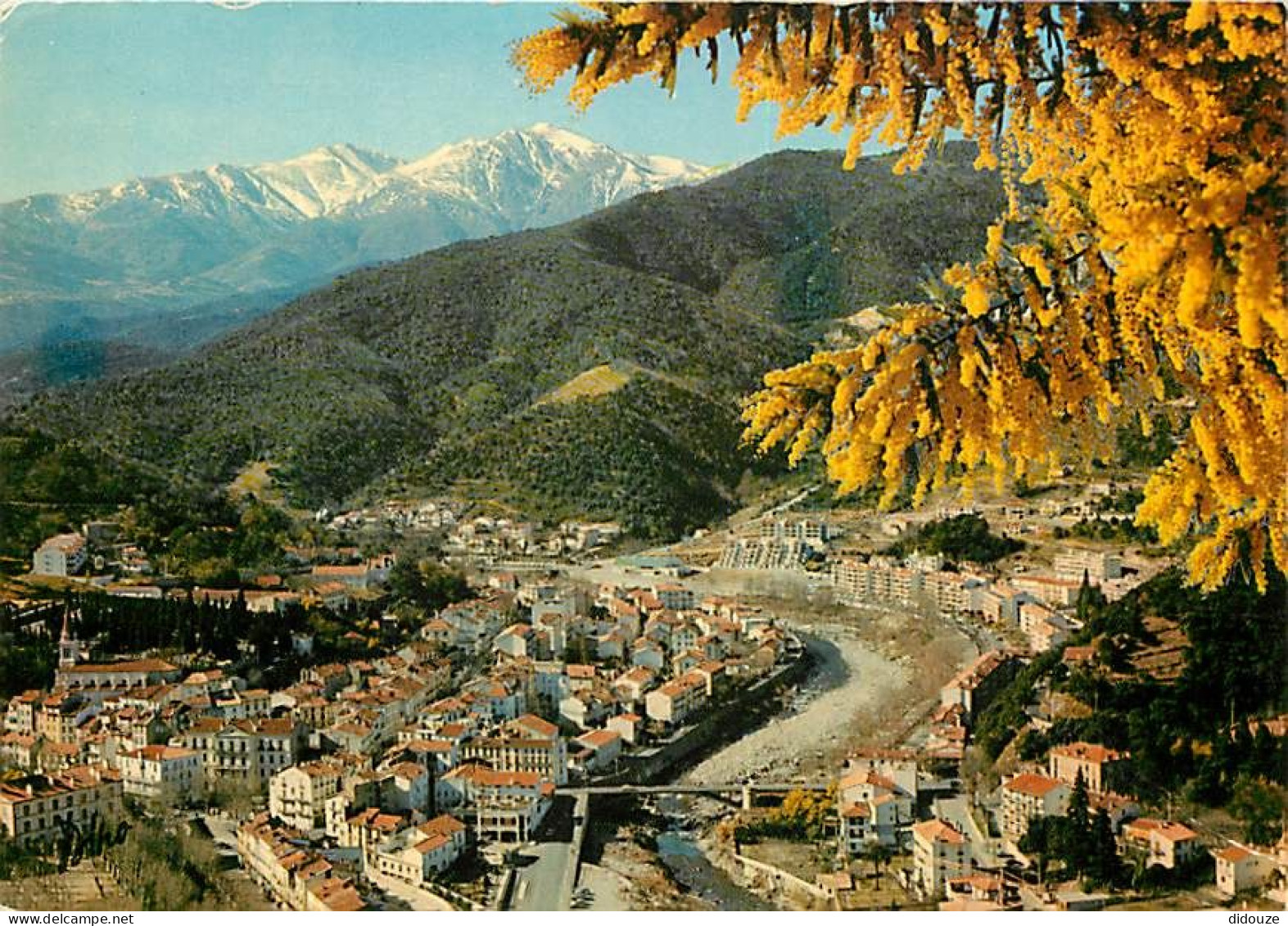 66 - Amélie Les Bains - Vue Générale - Au Fond Le Canigou - CPM - Voir Scans Recto-Verso - Other & Unclassified