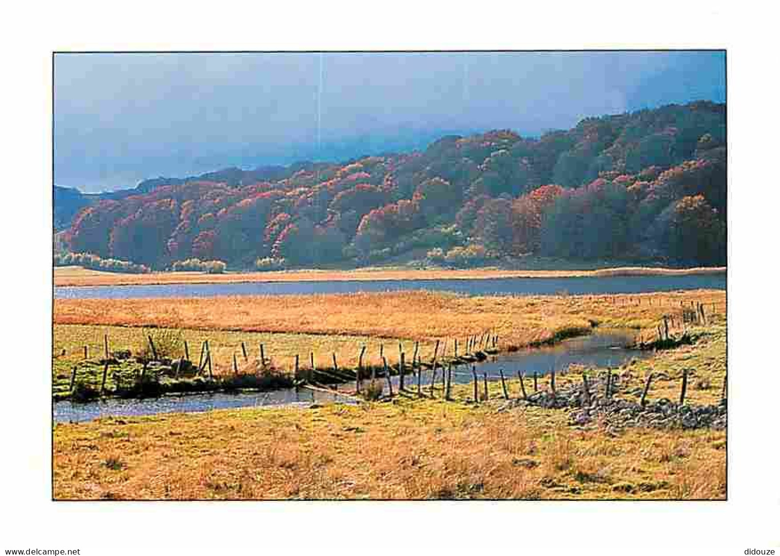 48 - Lozère - L'Aubrac - Lac Des Salhiens - CPM - Voir Scans Recto-Verso - Autres & Non Classés