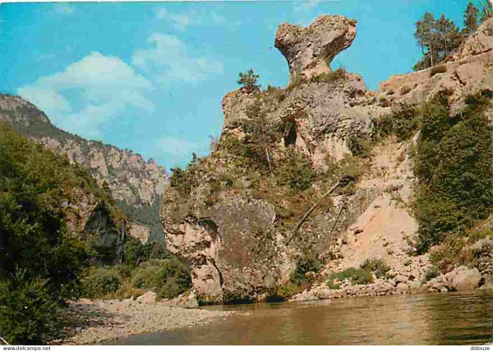 48 - Les Gorges Du Tarn - Promenade En Barque Dans Les Détroits - Rocher Du Champignon - CPM - Voir Scans Recto-Verso - Gorges Du Tarn