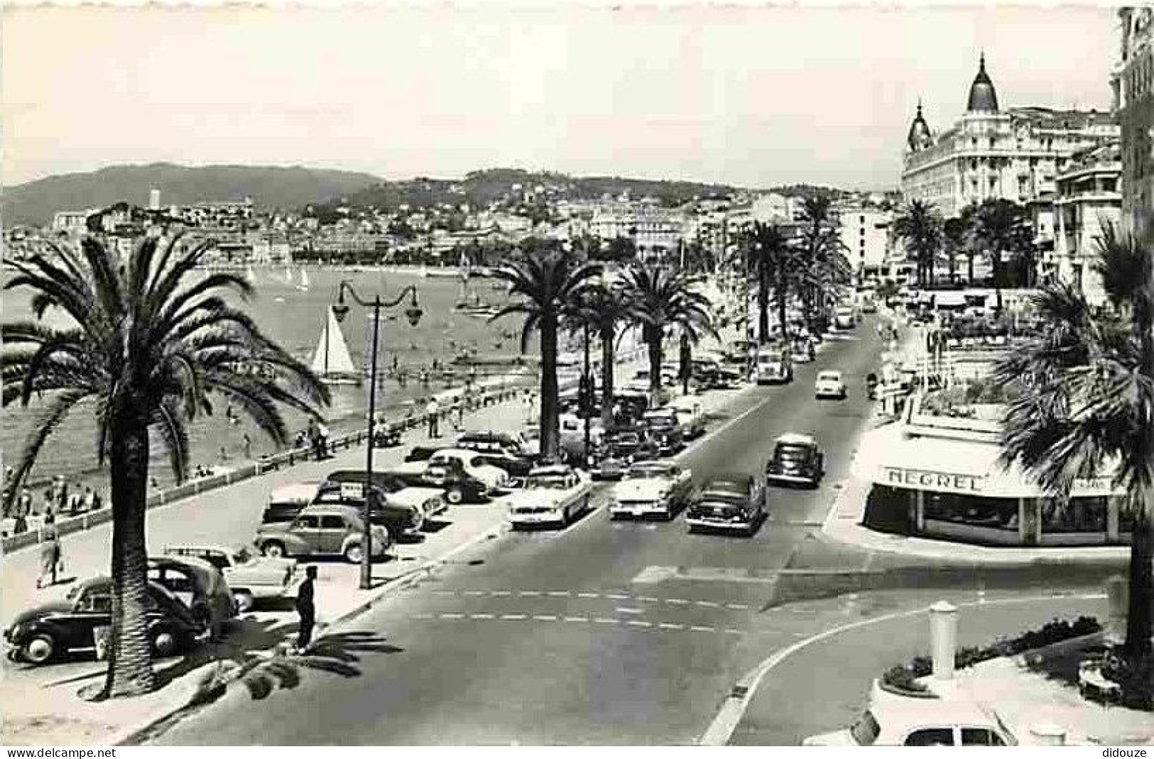 06 - Cannes - La Croisette - Automobiles - CPM - Voir Scans Recto-Verso - Cannes