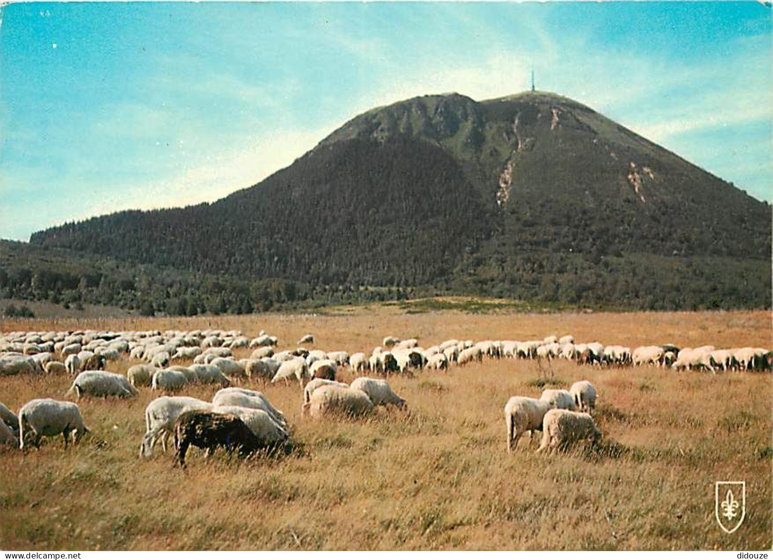 Animaux - Moutons - Auvergne - Le Puy De Dôme - CPM - Voir Scans Recto-Verso - Autres & Non Classés