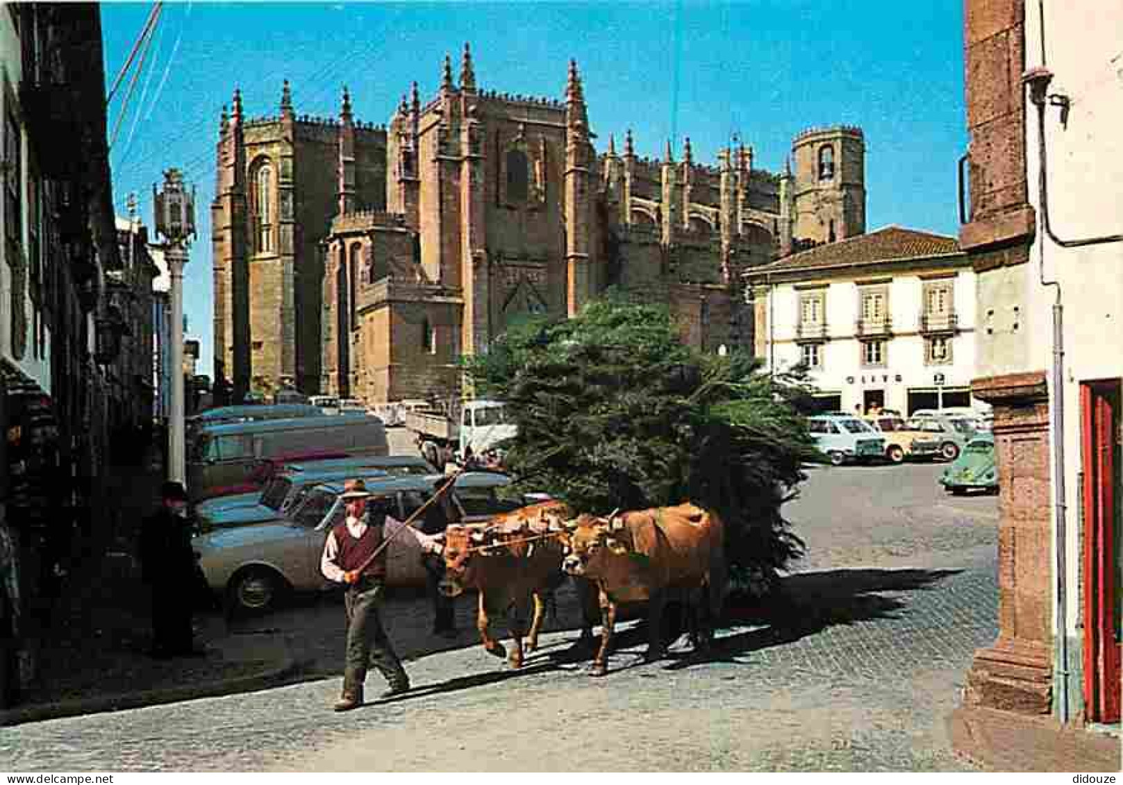 Animaux - Vaches - Portugal - Guarda - Cathedral - La Cathédrale - Automobiles - Paysans - Attelage - CPM - Voir Scans R - Cows