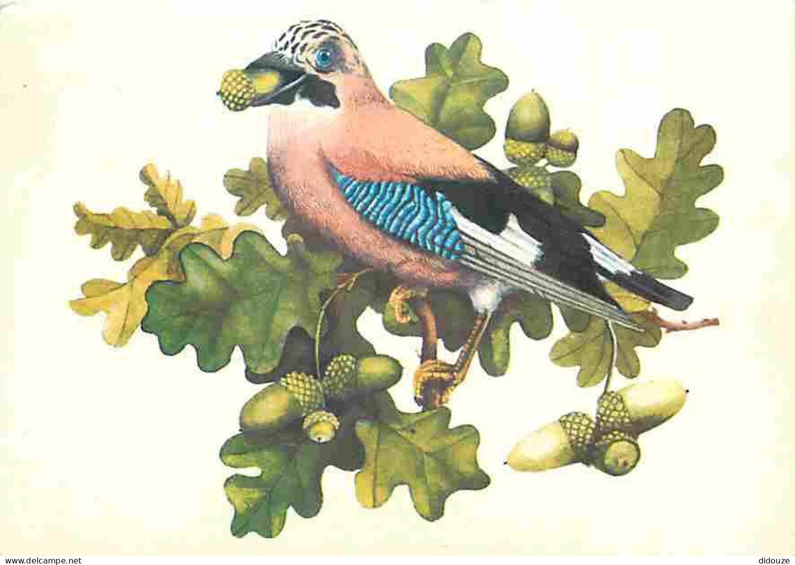 Animaux - Oiseaux - De Vlaamse Gaai - Geai - Dessin - CPM - Voir Scans Recto-Verso - Uccelli