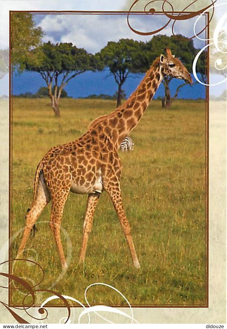 Animaux - Girafes - Carte Qui Se Déplie - Carte Neuve - CPM - Voir Scans Recto-Verso - Giraffes