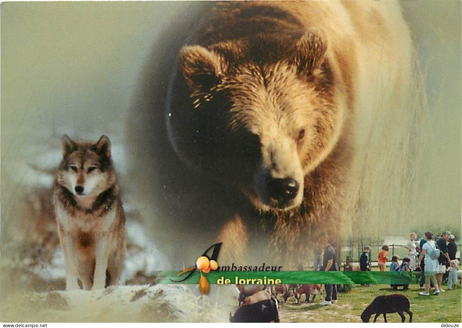 Animaux - Loups - Parc Animalier De Sainte Croix à Rhodes - Multivues - Ours - Zoo - Wolf - Lobo - CPM - Carte Neuve - V - Altri & Non Classificati