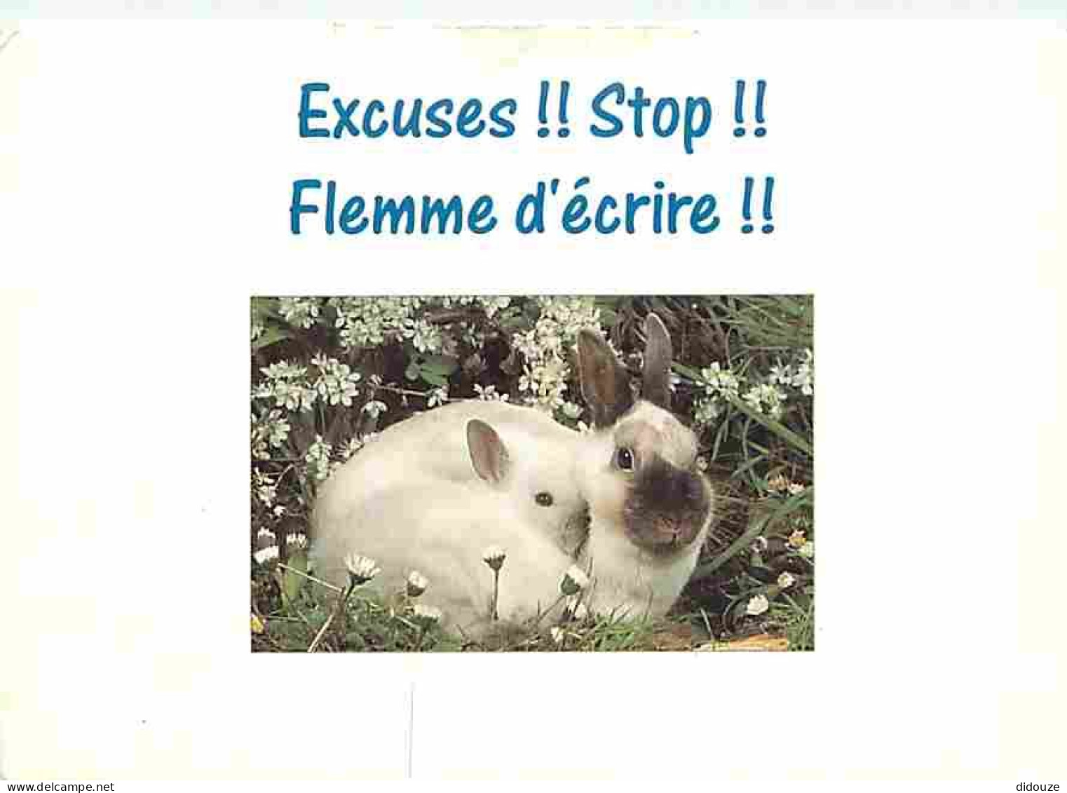 Animaux - Lapins - CPM - Voir Scans Recto-Verso - Autres & Non Classés