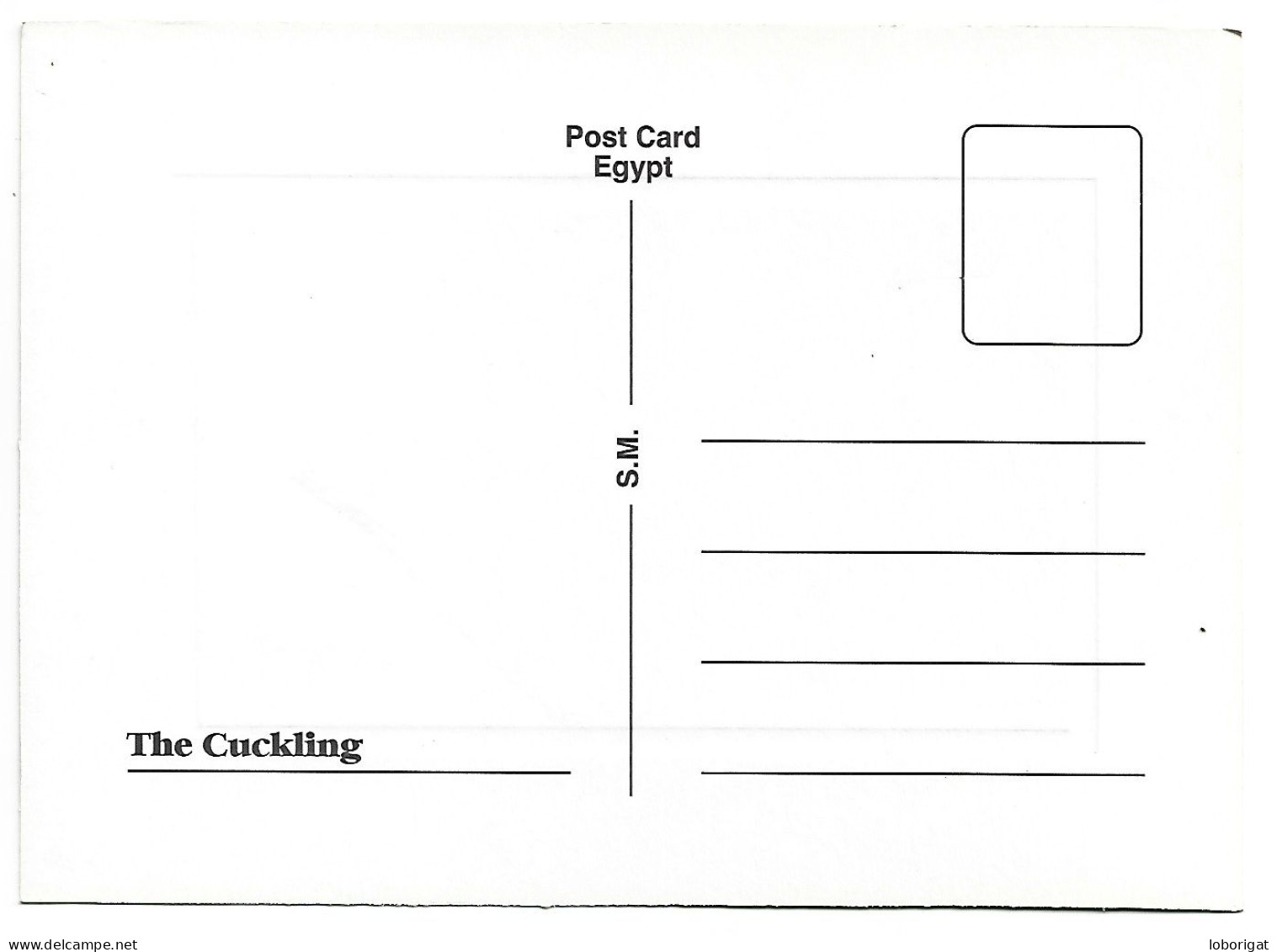 THE CUCKLING.-  EL CAIRO.-  ( EGYPT - EGIPTO ) - Kairo