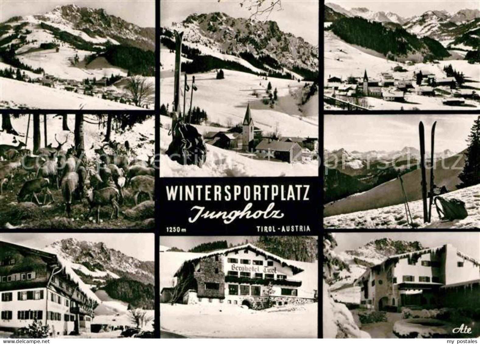 72831753 Jungholz Tirol Wintersportplatz Wildfutterplatz  Jungholz Tirol - Andere & Zonder Classificatie