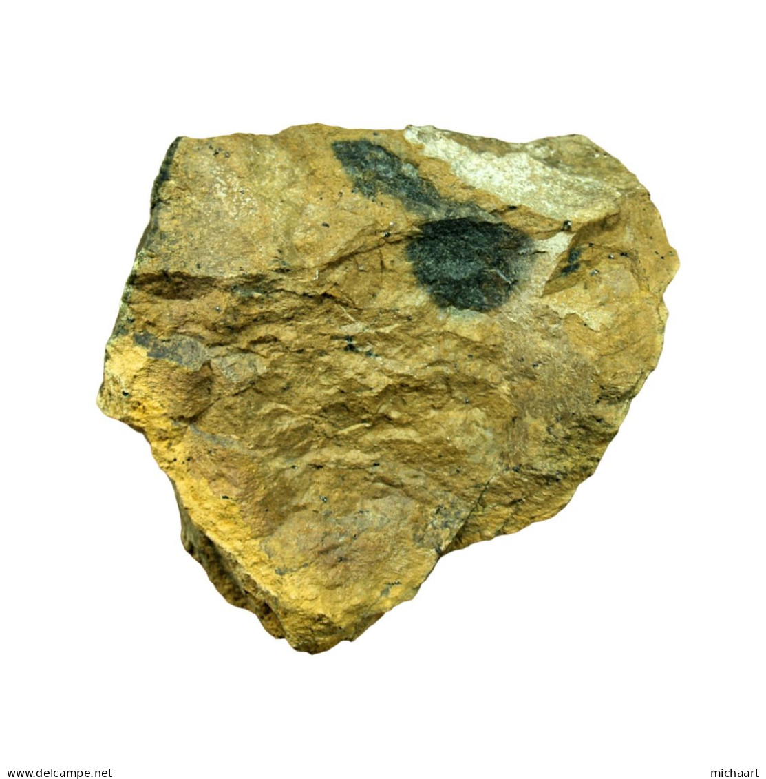 Dunite Mineral Rock Specimen 891g - 32oz Cyprus Troodos Ophiolite Geology 04404 - Minéraux