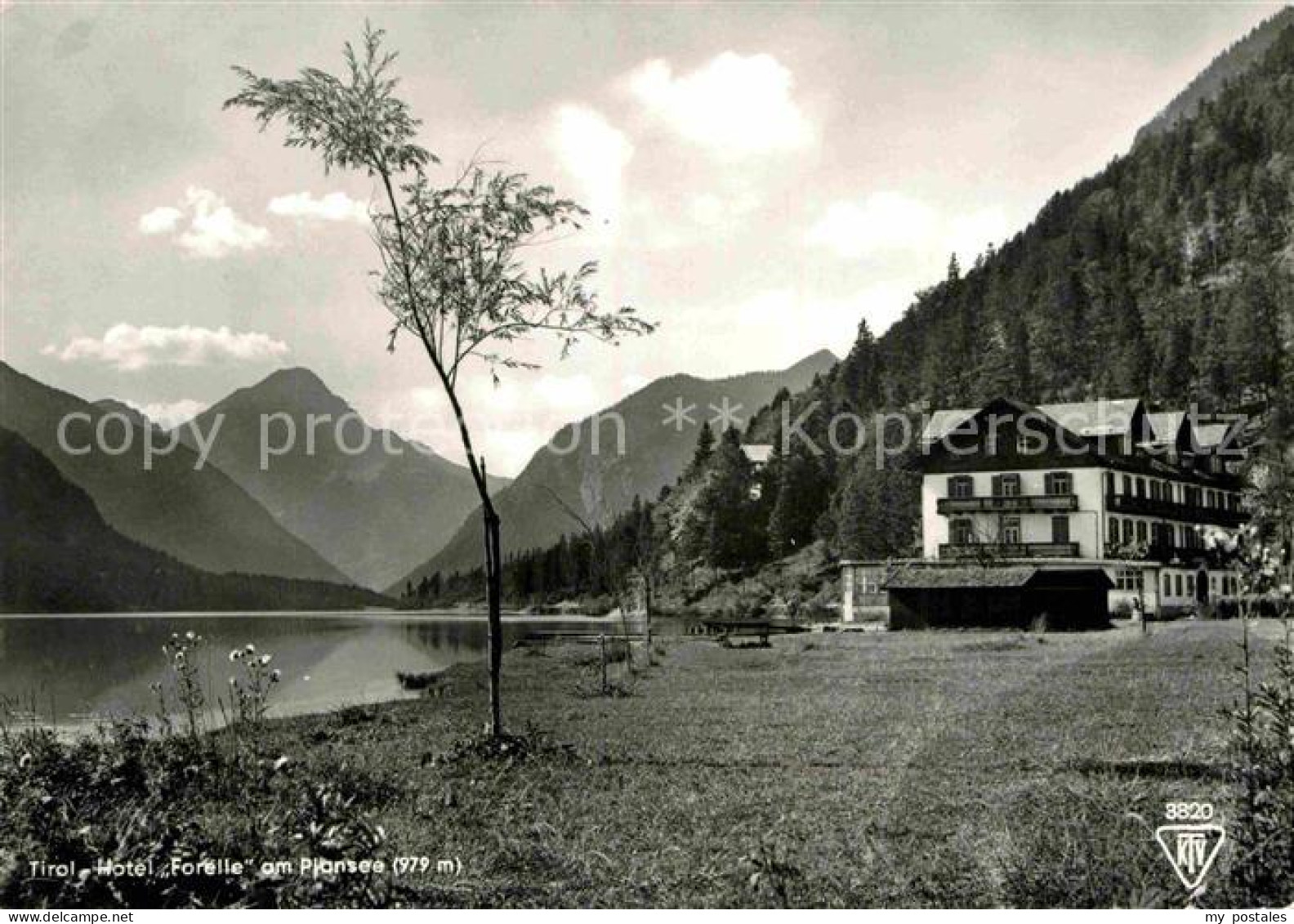 72830459 Plansee Hotel Forelle Plansee - Other & Unclassified