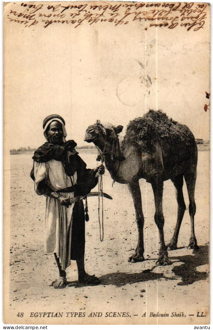 EGYPTE / CAIRO /  BEDOUIN SHEIK - Cairo