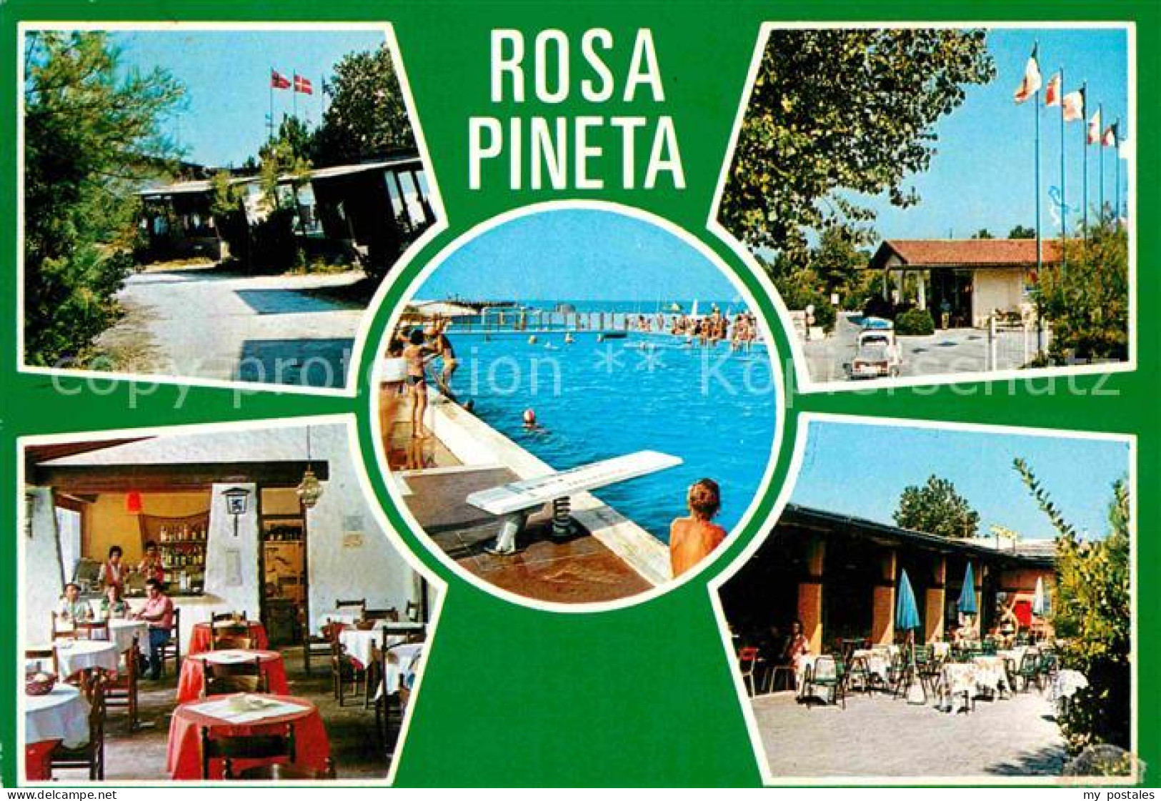 72829411 Rosolina Mare Rosa Pineta  Rosolina Mare - Altri & Non Classificati