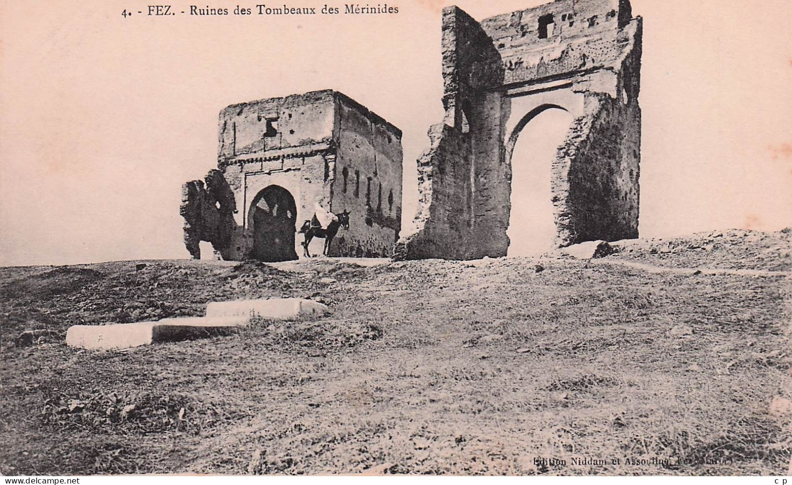 Fez - Ruines Des Tombeaux Des Merinides -  CPA°J - Fez