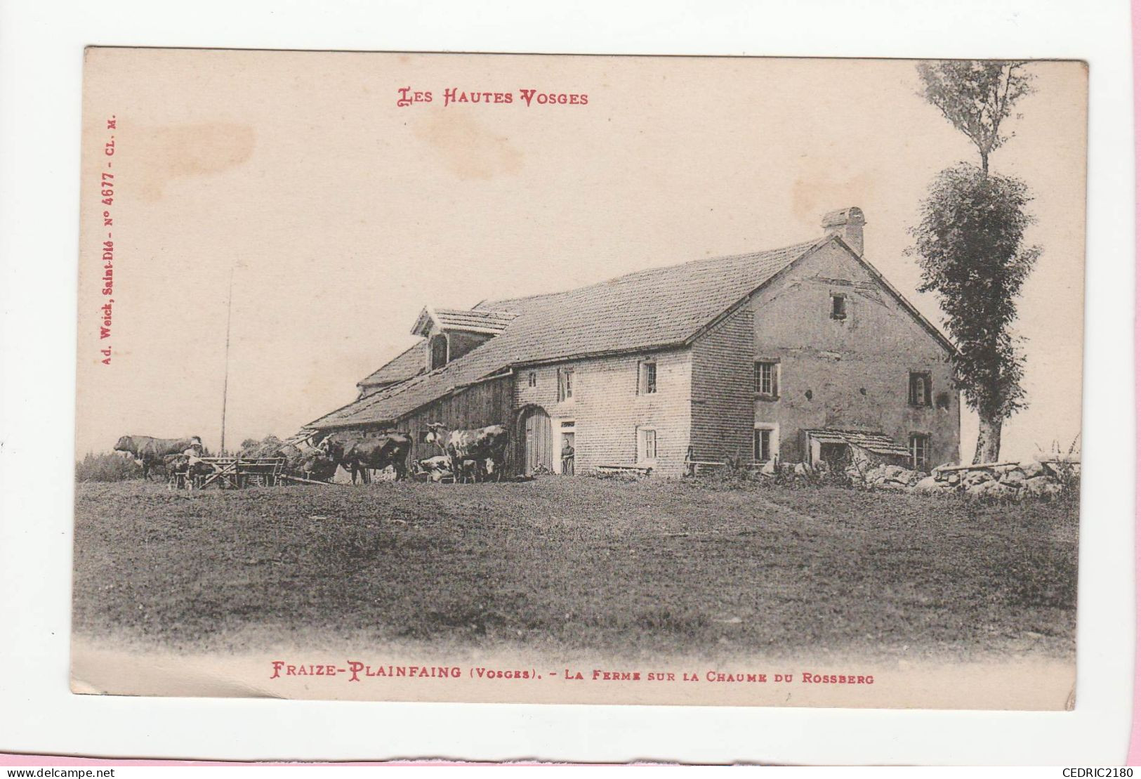 FRAIZE PLAINFAING LA FERME SUR LA CHAUME DU ROSSBERG - Autres & Non Classés