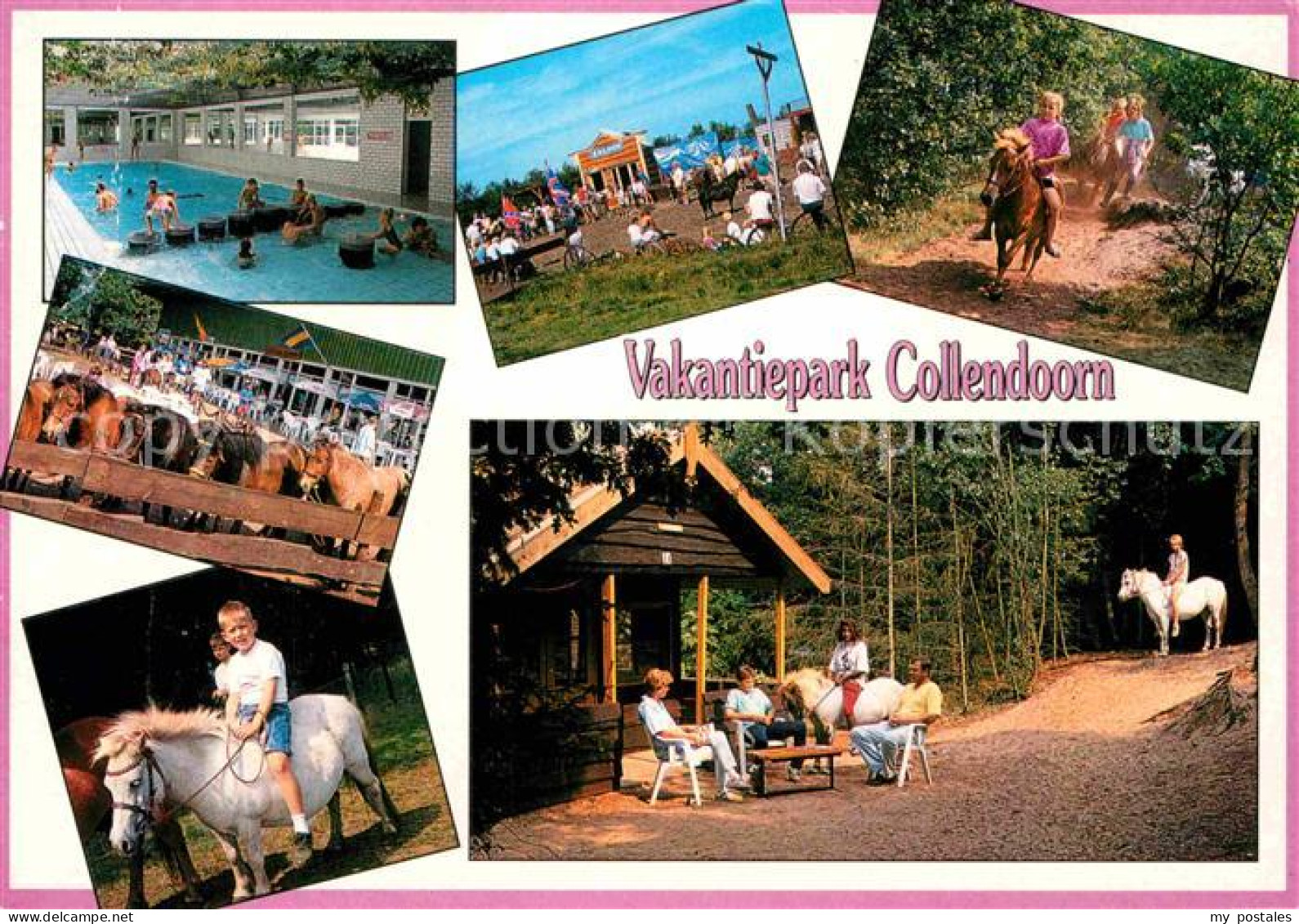 72828697 Hardenberg Niederlande Vakantiepark Collendoorn Pony  Hardenberg Nieder - Altri & Non Classificati