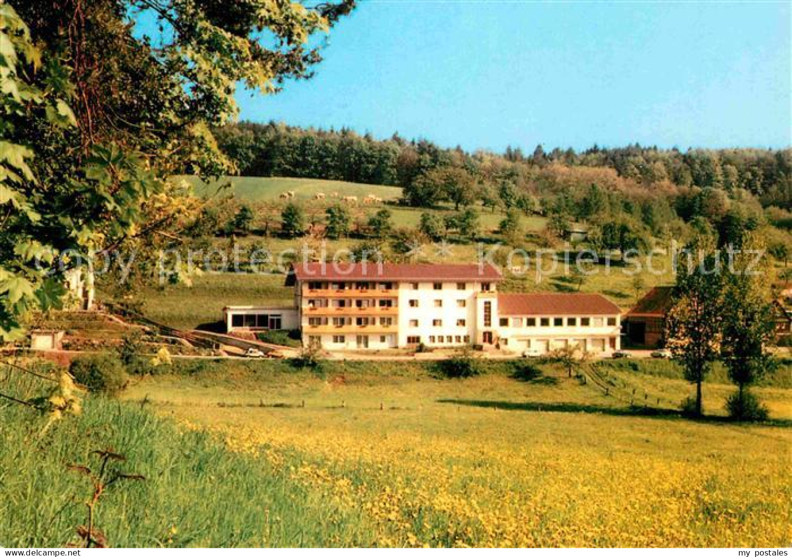 72828289 Hoechst Odenwald Pension Dornroeschen Gasthaus Cafe Hoechst - Other & Unclassified