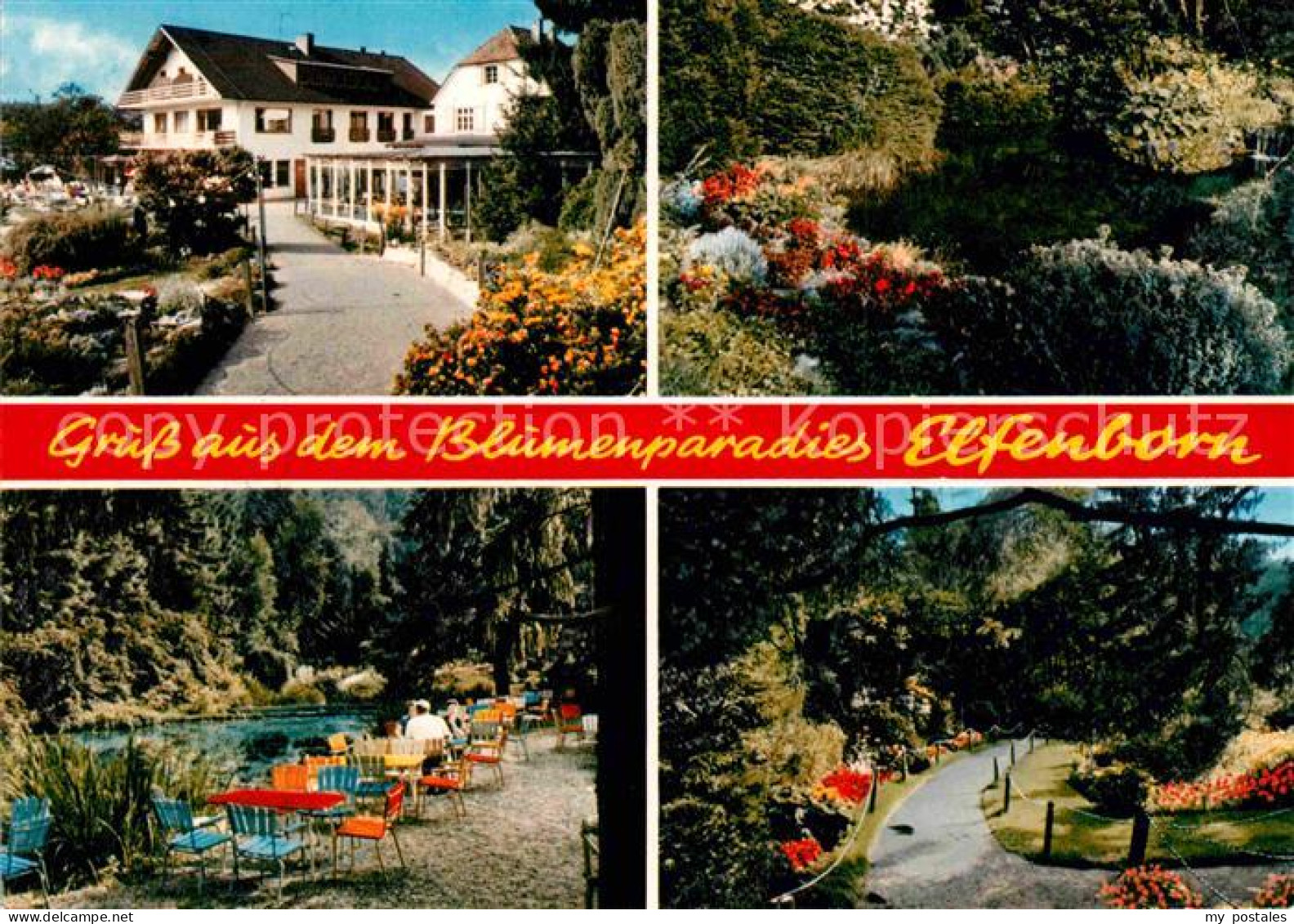 72827608 Rinteln Hotel Blumenparadies Elfenborn Rinteln - Rinteln