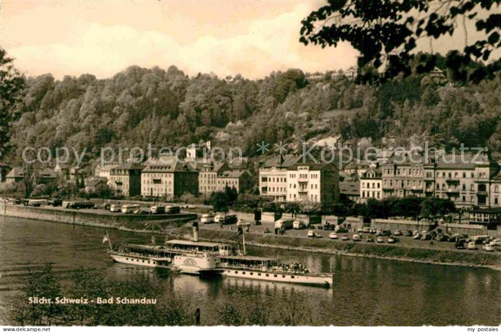 72827308 Bad Schandau Elbpartie Bad Schandau - Bad Schandau