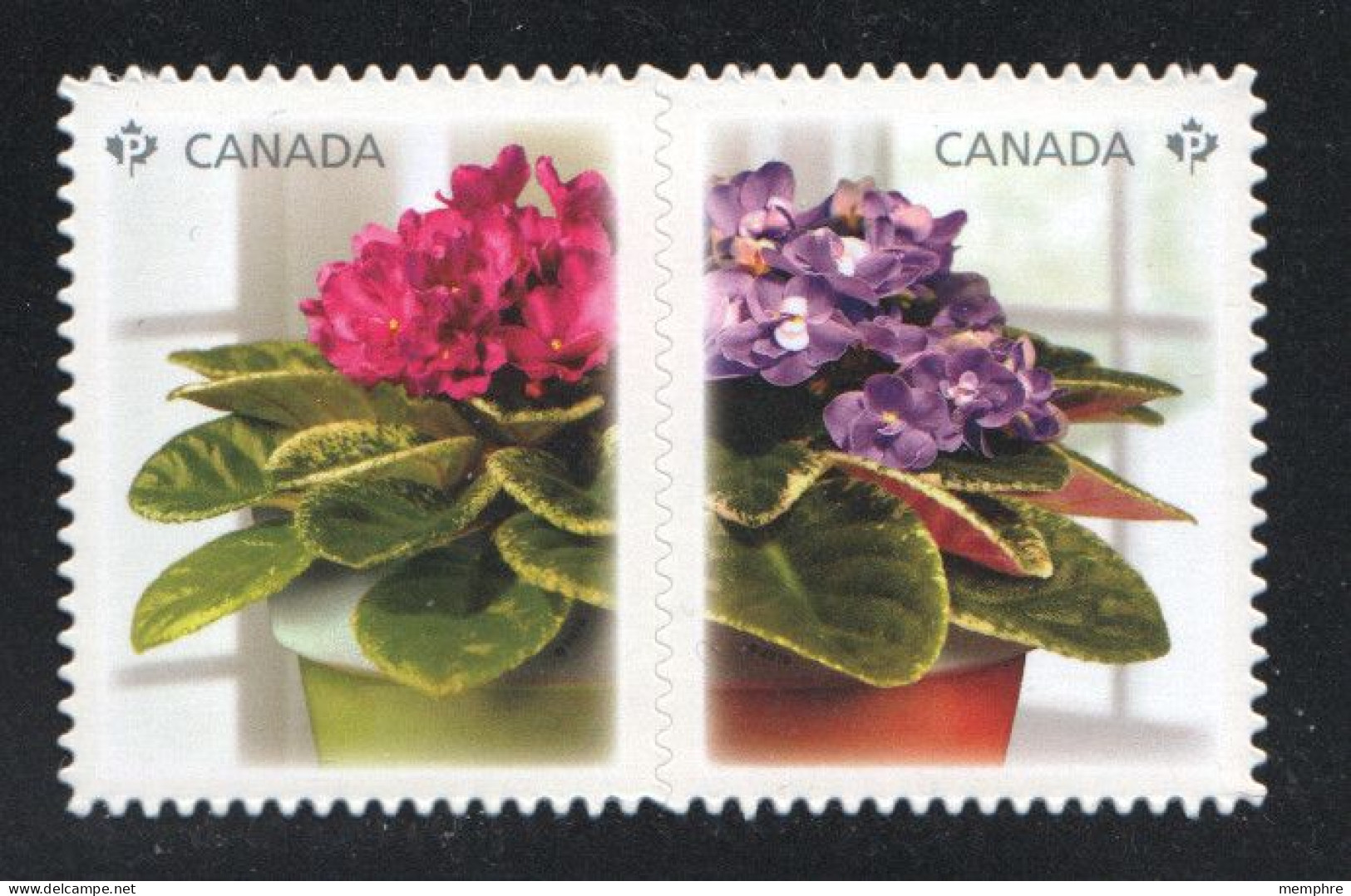 2010 African Violets - Se-tenant Pair From Booklet  Sc 2378i MNH - Ongebruikt