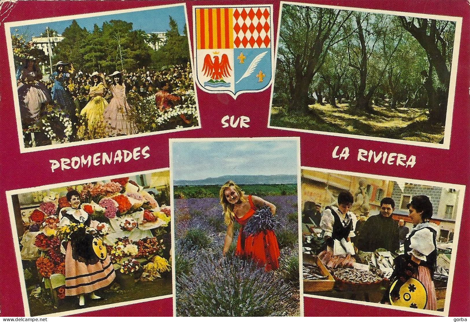 *CPM - Promenades Sur La Riviera - Bataille Fleurs, Champ Oliviers, Marché Fleurs, Cueillette Lavande, Marché Poissons - Costumes