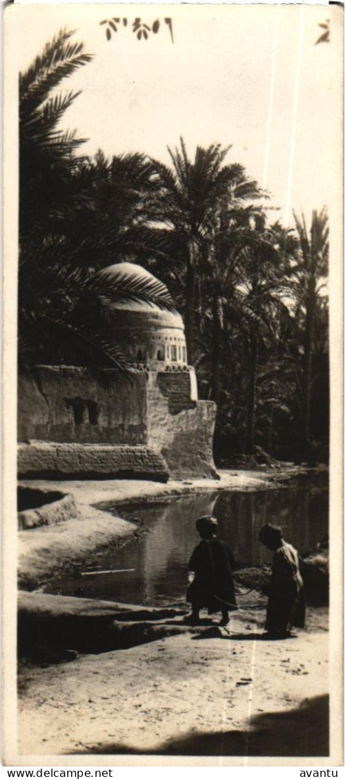 EGYPTE / CAIRO - Le Caire