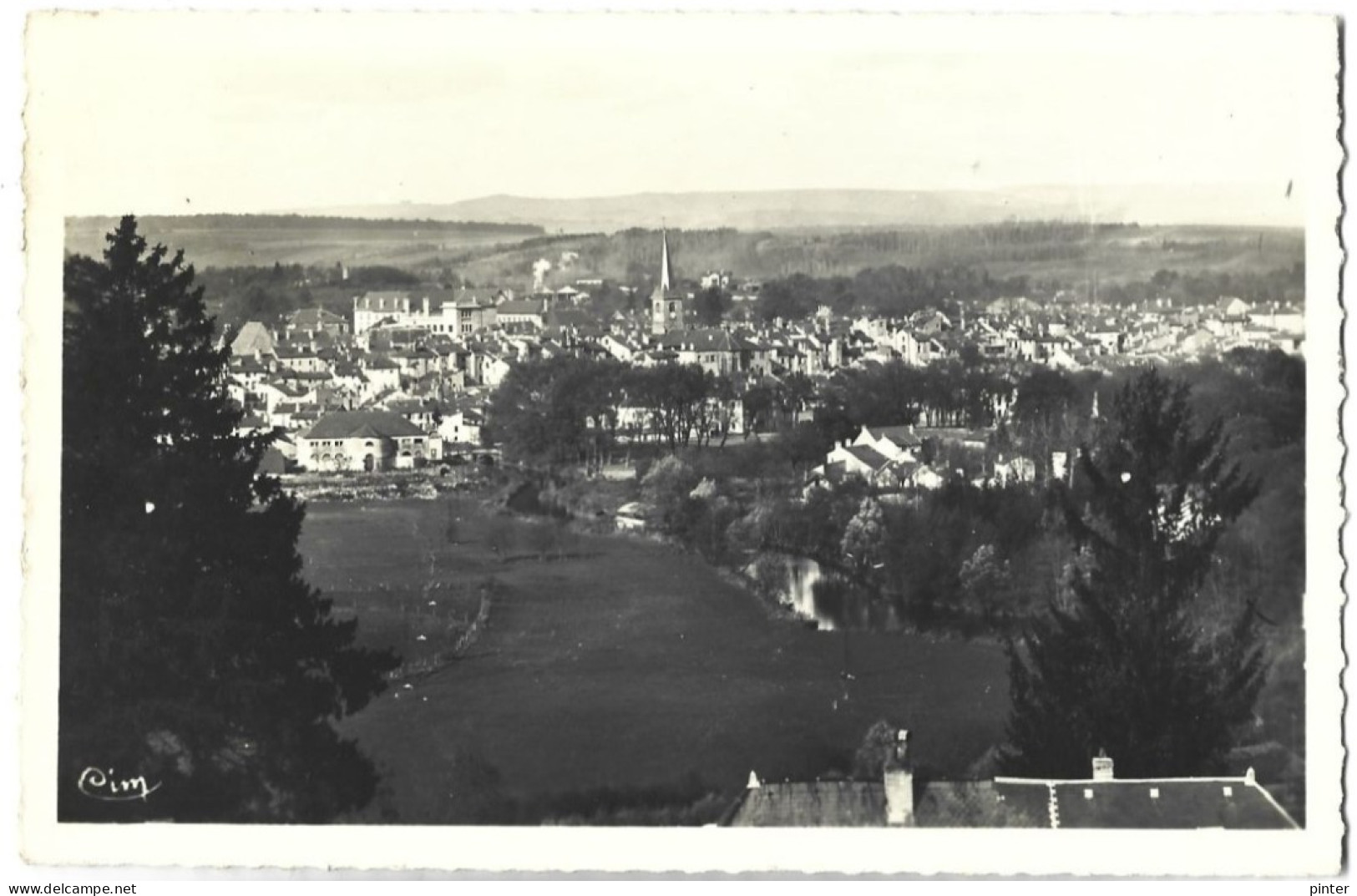 MIRECOURT - Vue Générale - Mirecourt