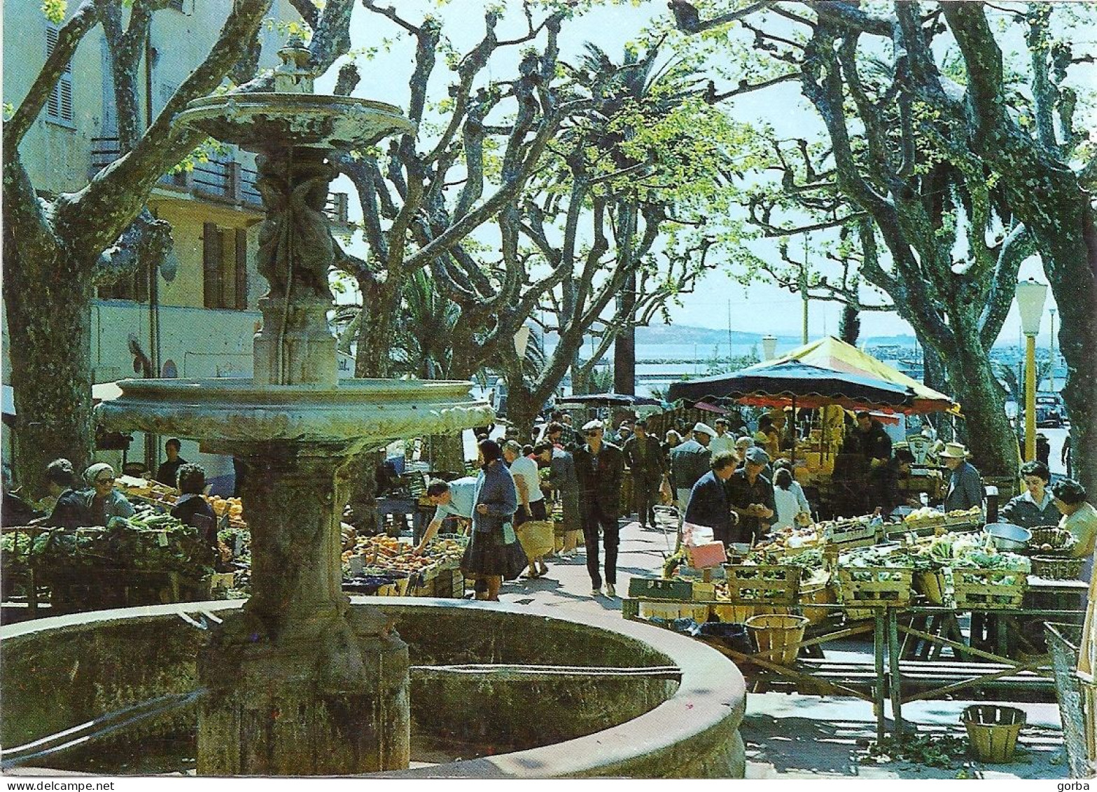 *CPM - 83 - BANDOL - Le Marché Provençal Place De L'église - Bandol