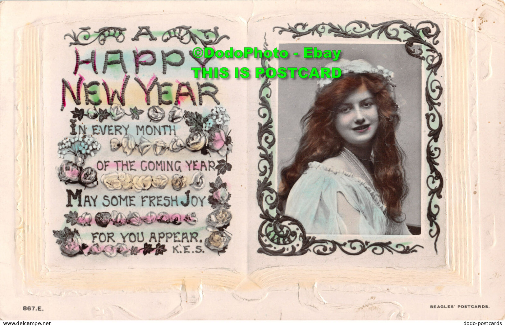 R344894 Happy New Year. Woman With Long Hair And Hat. Beagles Postcards. S. W. S - Monde