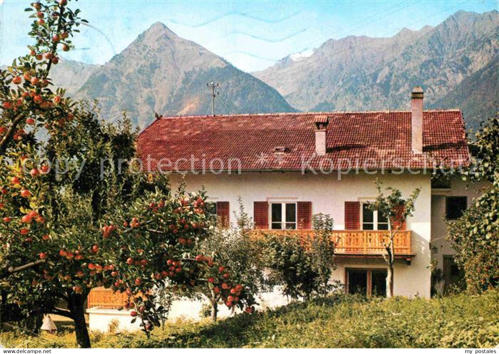 72825399 Schenna Meran Mostragerhof Italien - Altri & Non Classificati