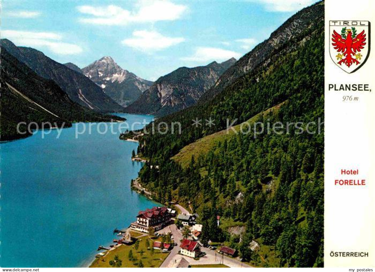 72824557 Plansee Hotel Forelle Plansee - Other & Unclassified