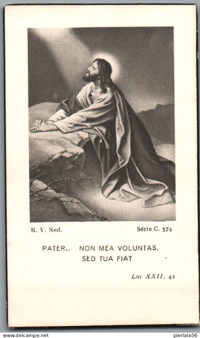 Bidprentje Aalbeke - Pauwels René (1904-1950) - Images Religieuses