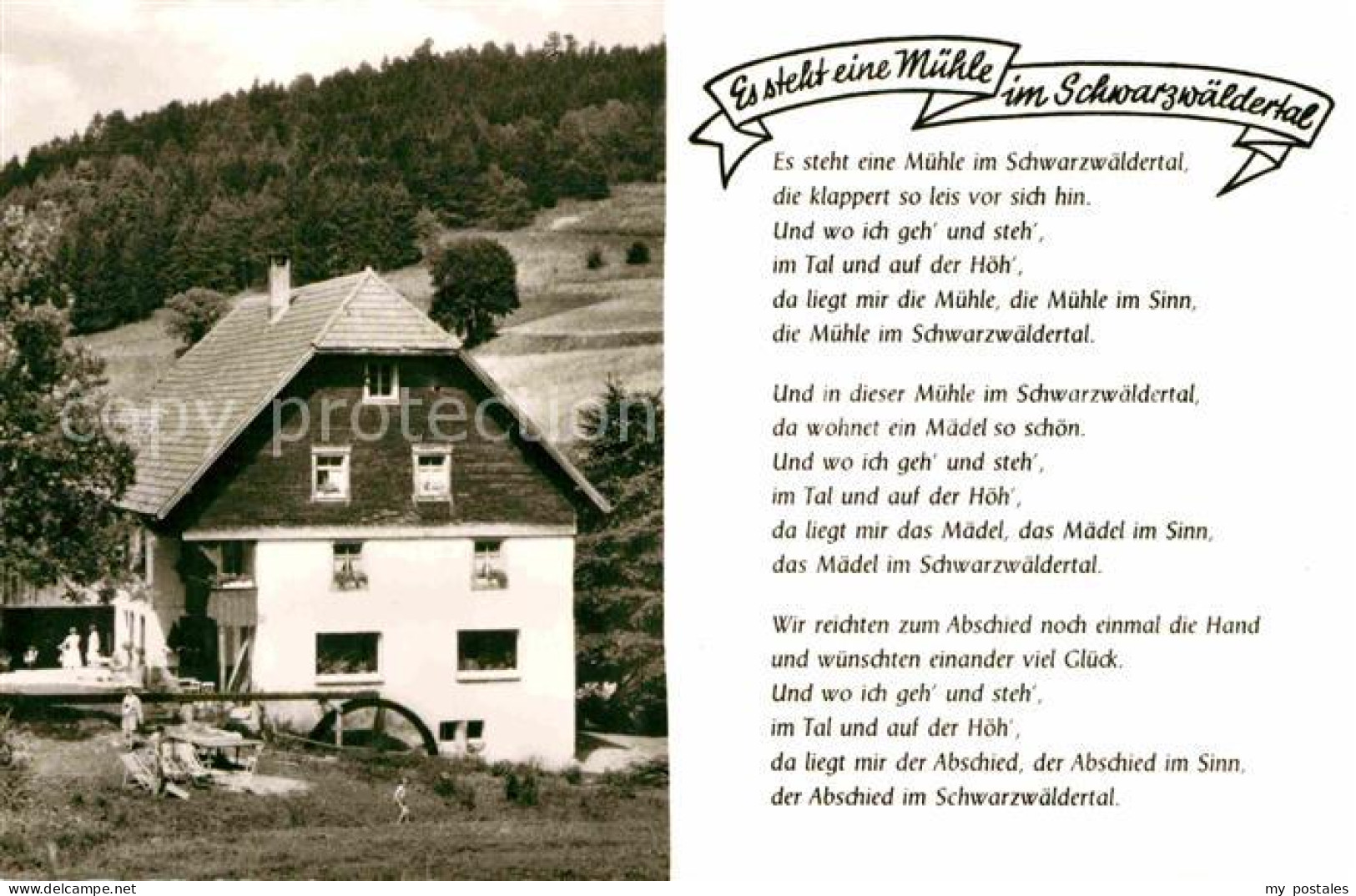 72824322 Grafenhausen Schwarzwald Pension Tannenmuehle Gedicht Grafenhausen - Autres & Non Classés