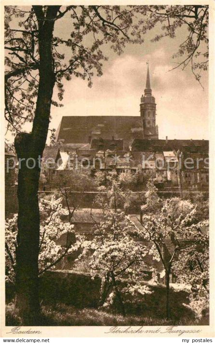 72824303 Bautzen Petrikirche Bautzen - Bautzen