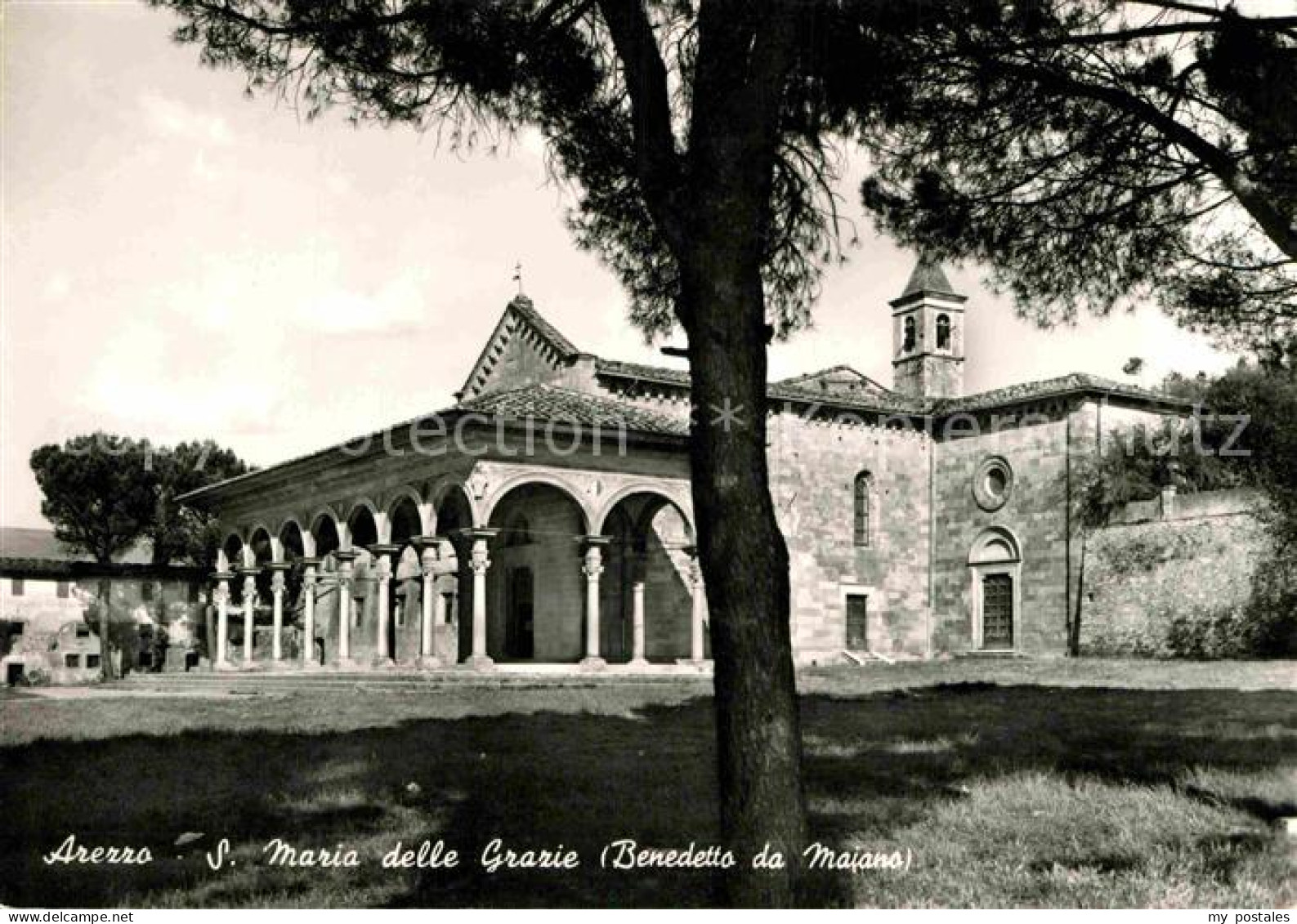 72824169 Arezzo Chiesa Santa Maria Delle Grazie Benedetto Da Maiano Arezzo - Otros & Sin Clasificación