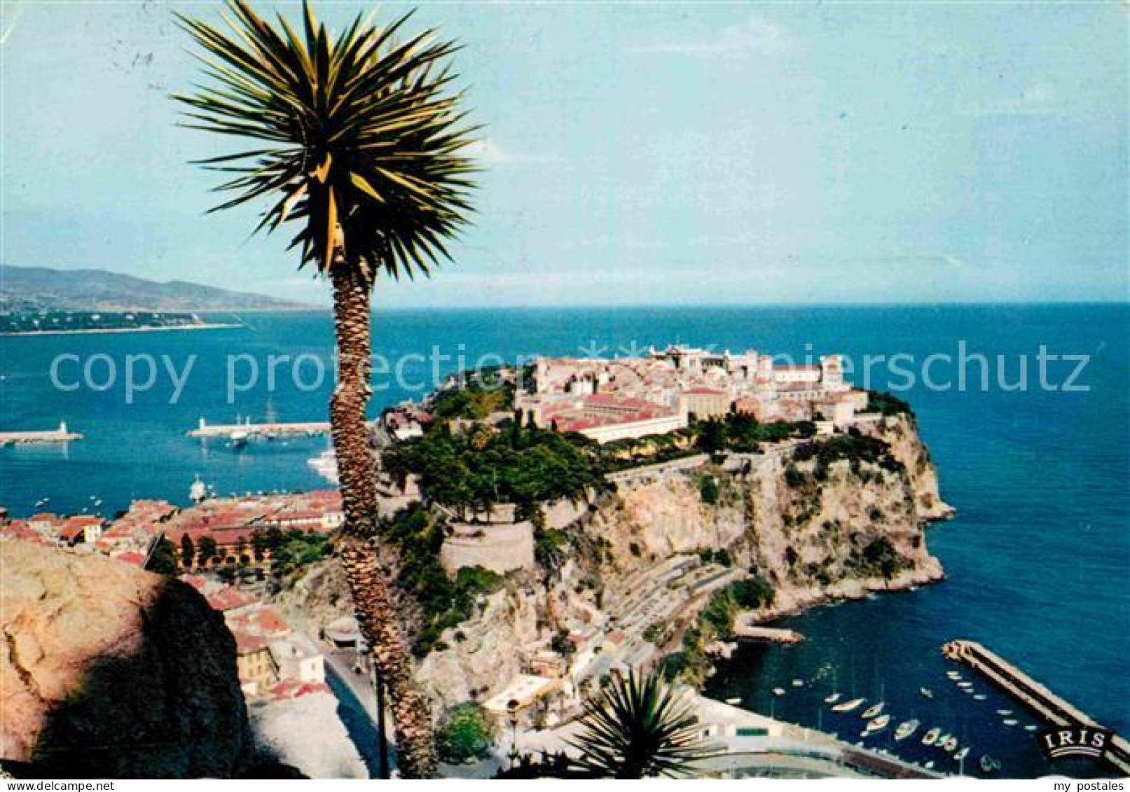 72824139 Monaco Le Rocher Vu Du Jardin Exotique Au Loin L'Italie Cote D Azur - Autres & Non Classés