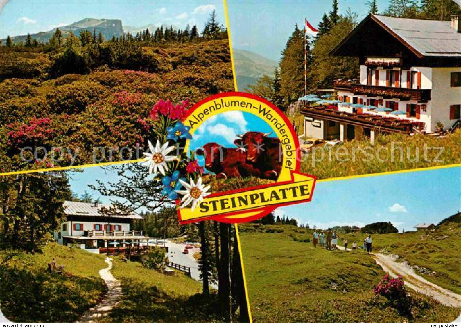 72824122 Waidring Tirol Alpengasthof Steinplatte Wanderweg Landschaftspanorama W - Sonstige & Ohne Zuordnung