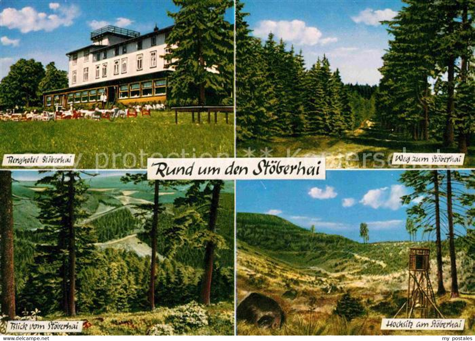 72823361 Wieda Berghotel Stoeberhai Wald Hochsitz Wieda - Autres & Non Classés