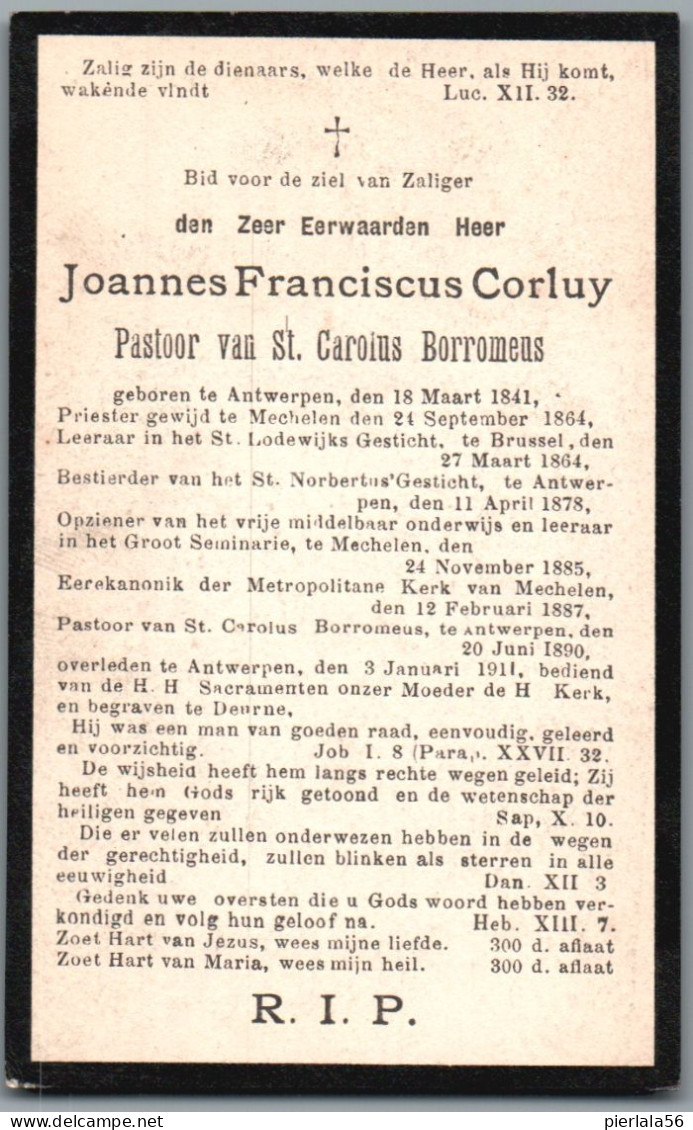 Bidprentje Antwerpen - Corluy Joannes Franciscus (1841-1911) Priester - Imágenes Religiosas