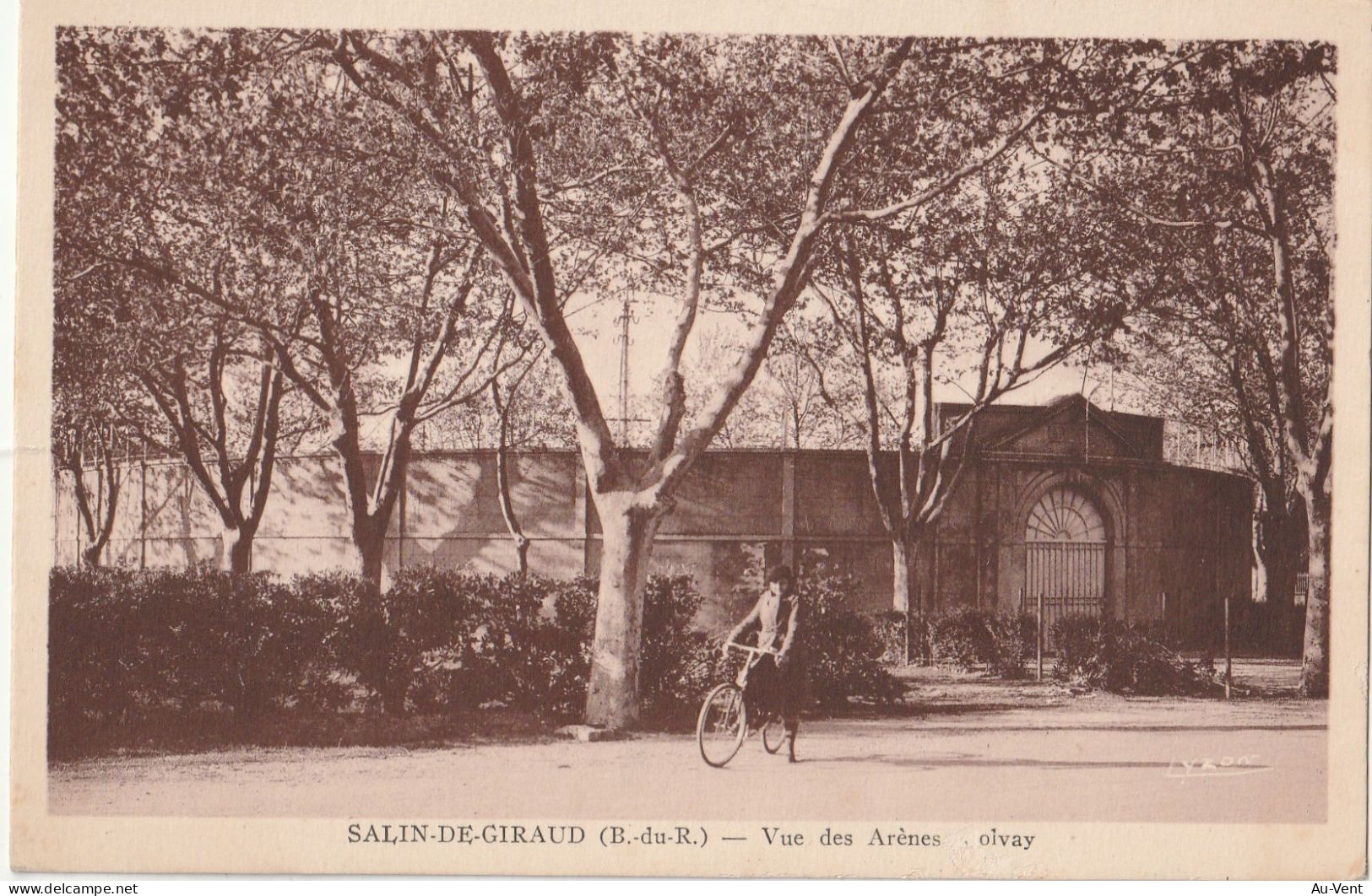 13 SALINS DE GIRAUD  VUE DES ARENES - Sonstige & Ohne Zuordnung