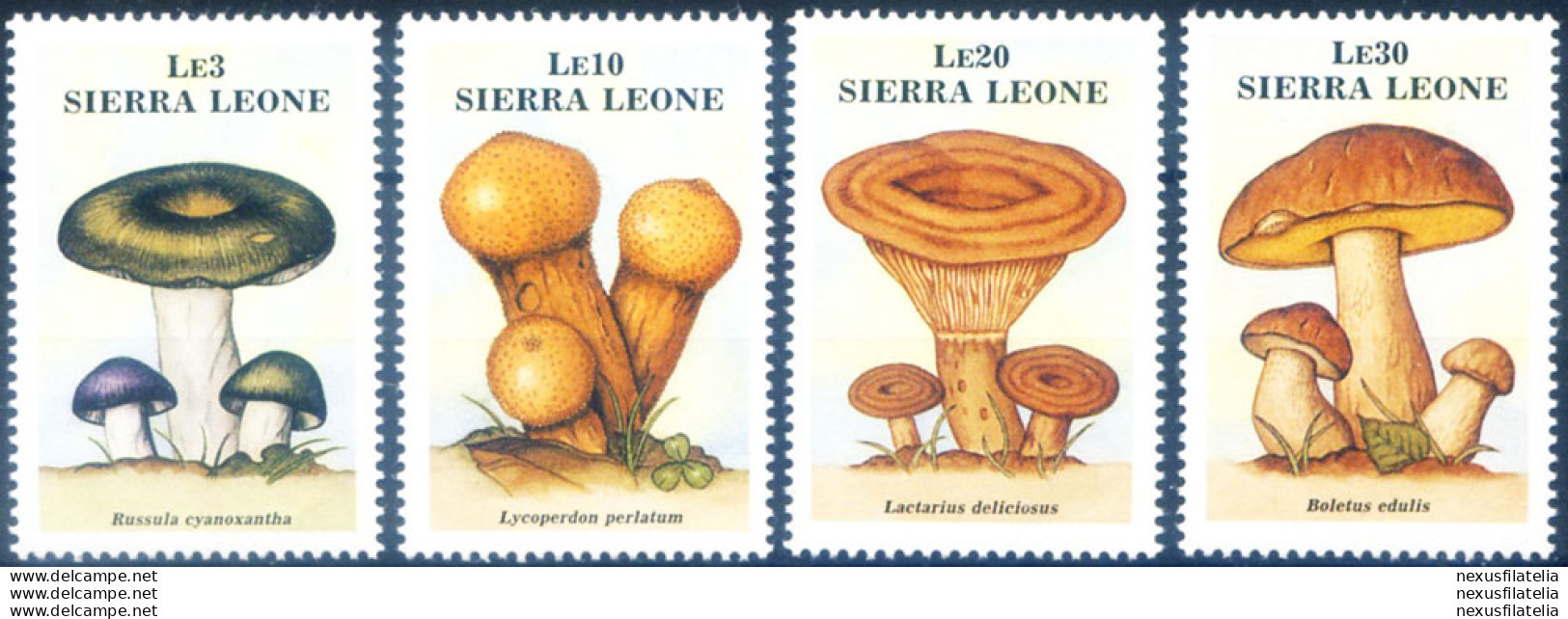Flora. Funghi 1988. - Sierra Leone (1961-...)