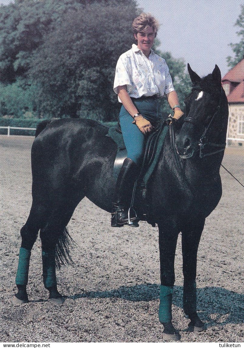 Horse - Cheval - Paard - Pferd - Cavallo - Cavalo - Caballo - Häst - Dressage - Kyra Kyrklund & Edinburg - Paarden